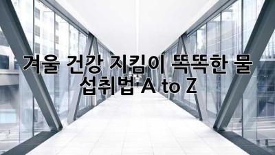 겨울 건강 지킴이💧 똑똑한 물 섭취법 A to Z